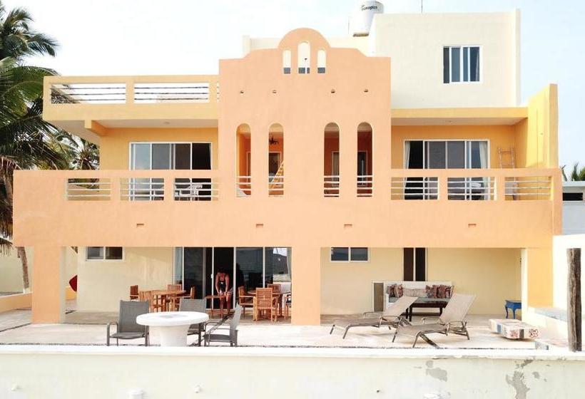 הוסטל Flamingos Inn