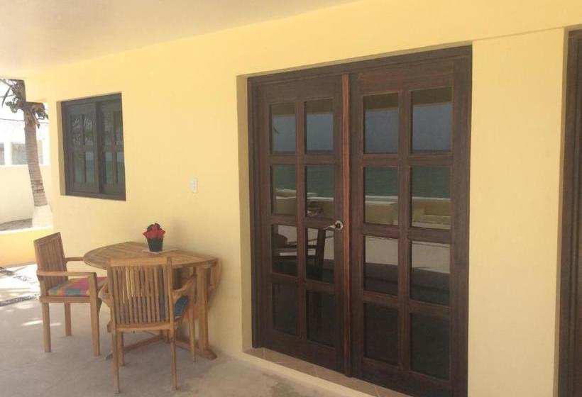 הוסטל Flamingos Inn