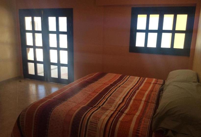 הוסטל Flamingos Inn