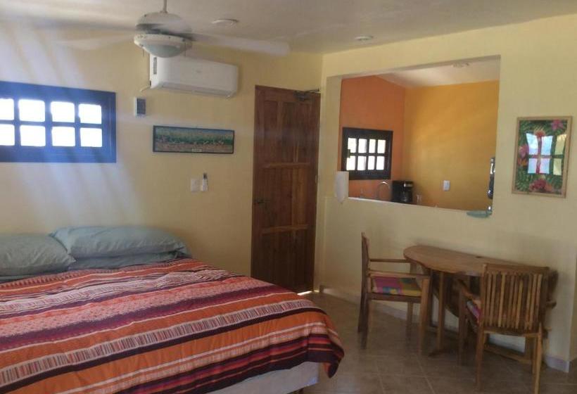 הוסטל Flamingos Inn