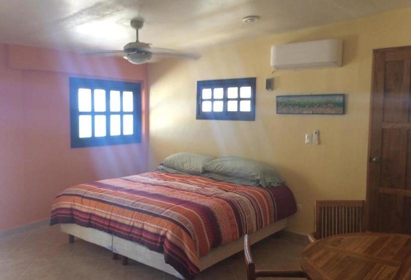 הוסטל Flamingos Inn