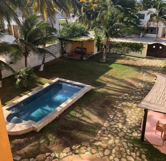 הוסטל Flamingos Inn