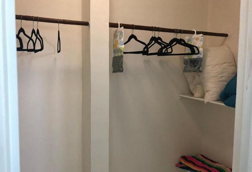 הוסטל Flamingos Inn