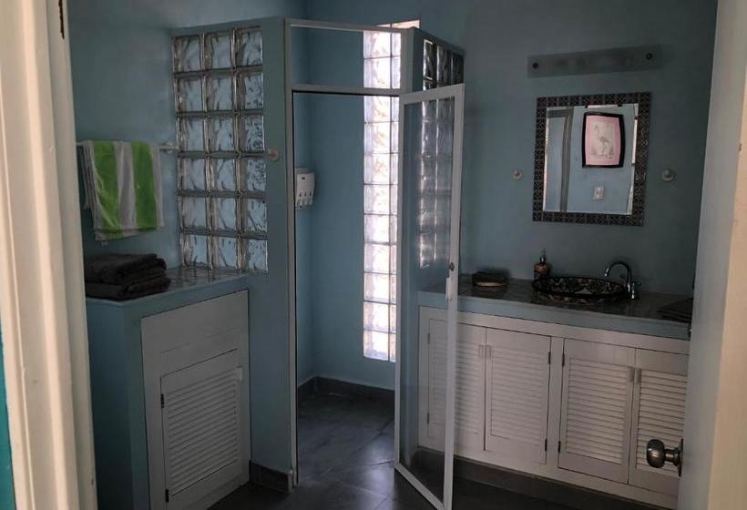 הוסטל Flamingos Inn