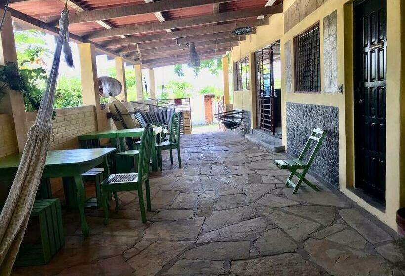 تختخواب و صبحانه Bananoz Surfhouse