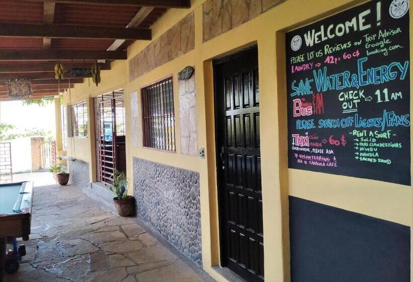 تختخواب و صبحانه Bananoz Surfhouse