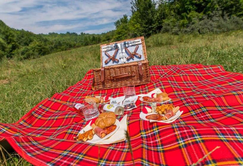 Bed and Breakfast Casa Din Plai