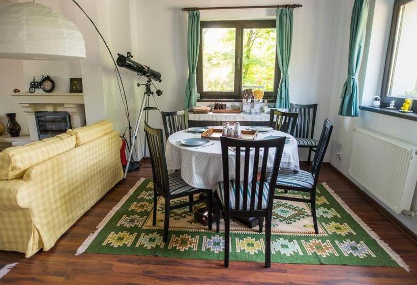 Bed and Breakfast Casa Din Plai