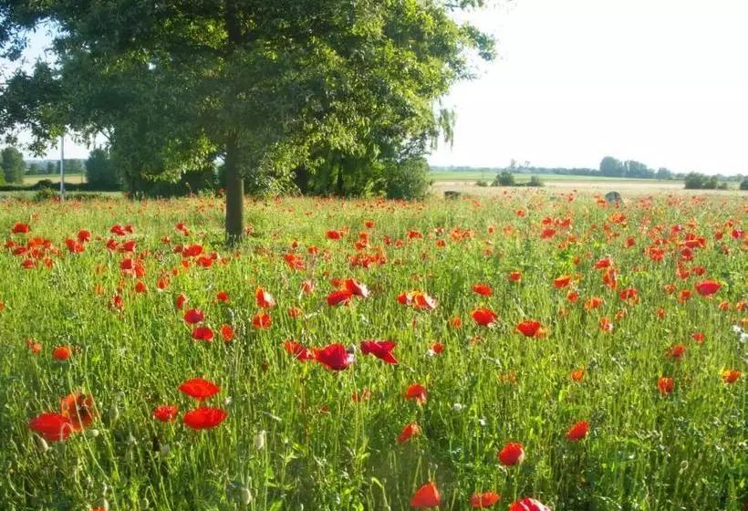 Aamiaismajoitus (B&B) La Vallée Des Trois Monts
