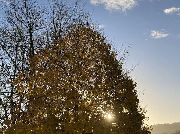 Aamiaismajoitus (B&B) Quinta Da Varzea