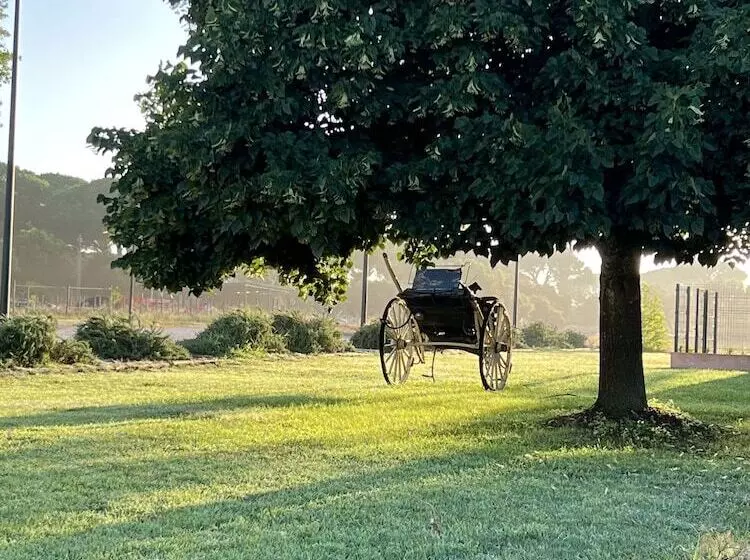 Aamiaismajoitus (B&B) Quinta Da Varzea