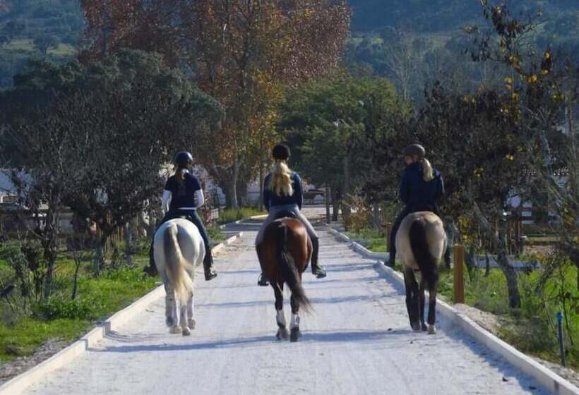 צימר Quinta Da Varzea