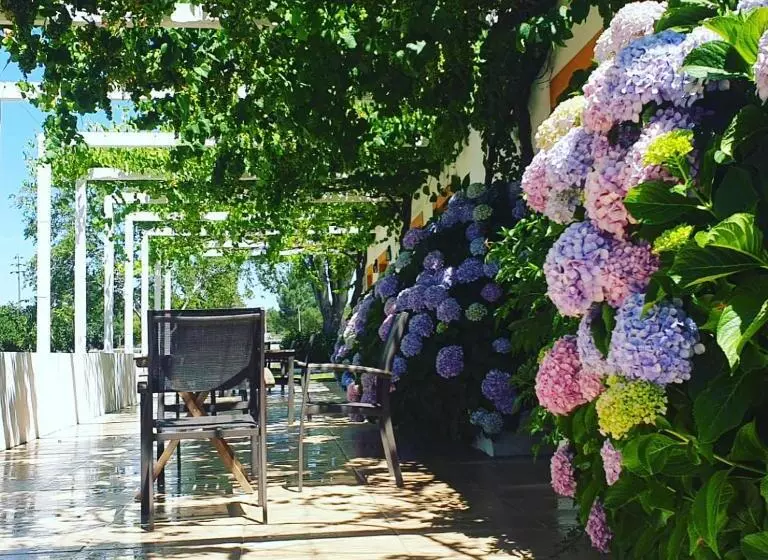 Aamiaismajoitus (B&B) Quinta Da Varzea