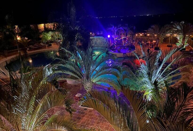 Hotel Casa Bohemia   Resort De Cerveza Y Vino