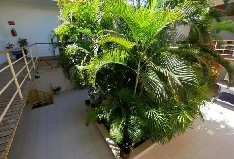 هتل Hôtel Saïfee International