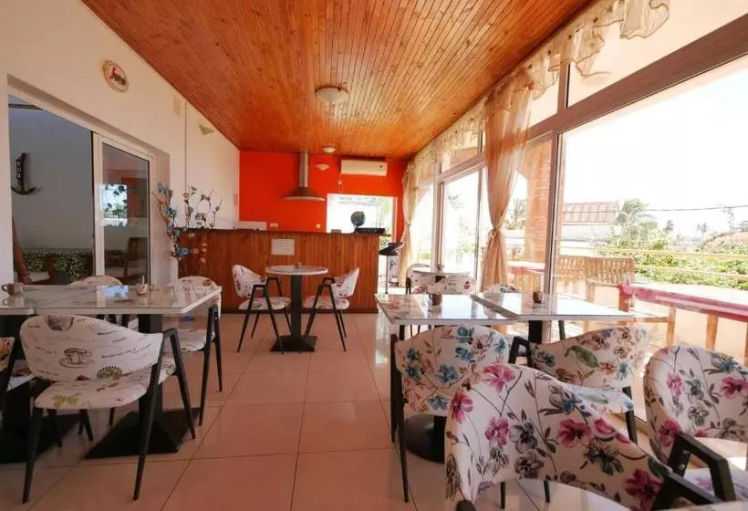 هتل Hôtel Saïfee International