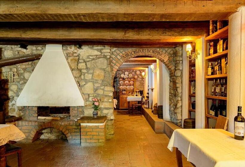 پانسیون Count Kálnoky S Transylvanian Guesthouses