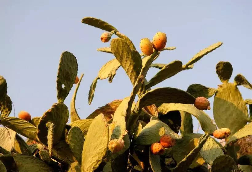 Majatalo Exclusive Boutique