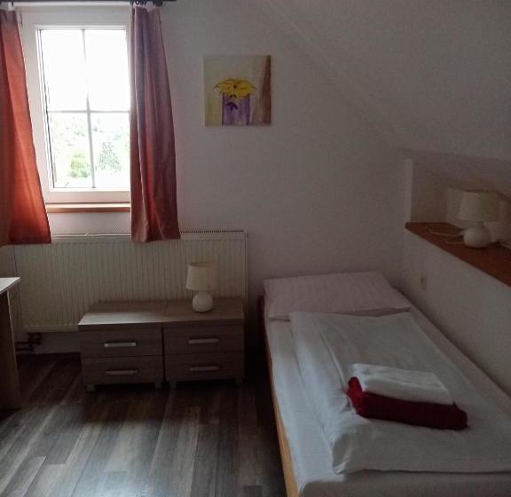 بنسيون Sedlonov 178