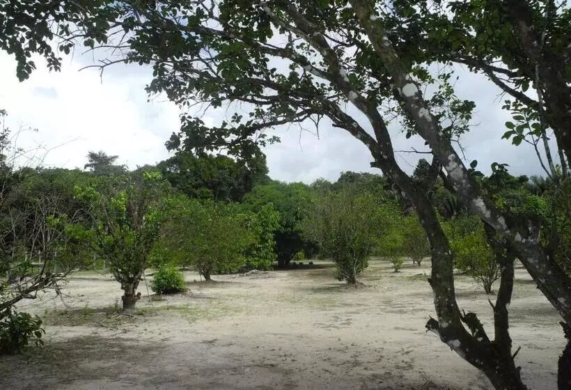 پانسیون Sonja S Guesthouse