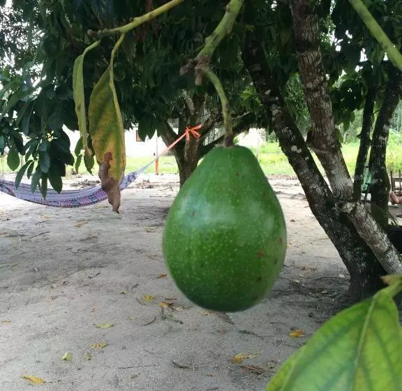 پانسیون Sonja S Guesthouse