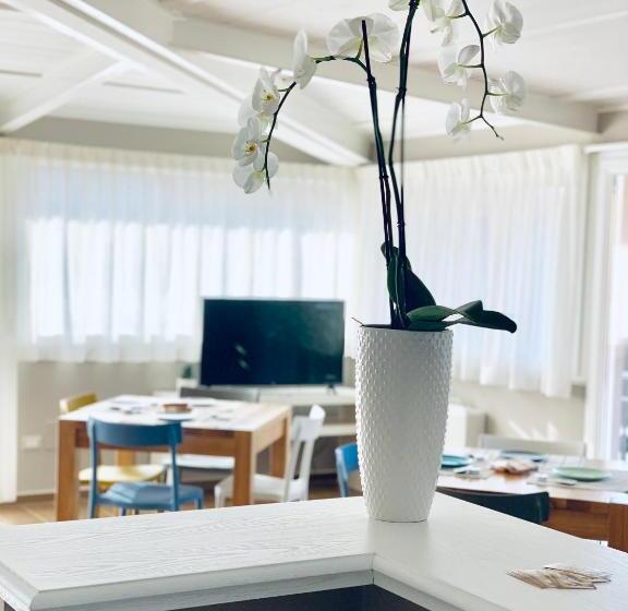 بنسيون Tempio Aurora