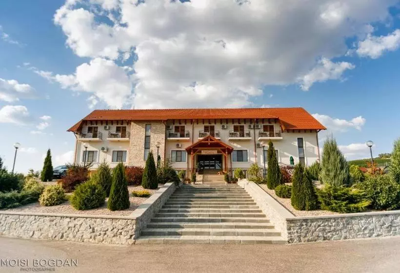 Pensiunea Kemsilvanum Fort Silvan