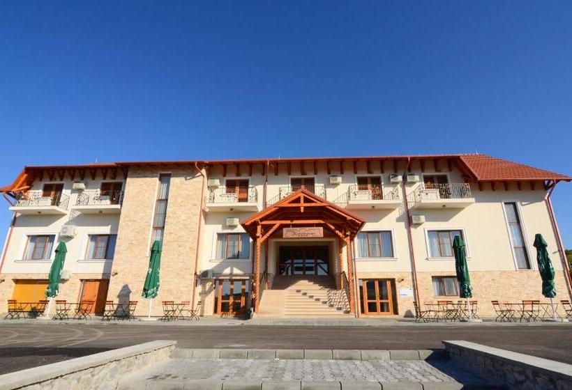 Pensiunea Kemsilvanum Fort Silvan