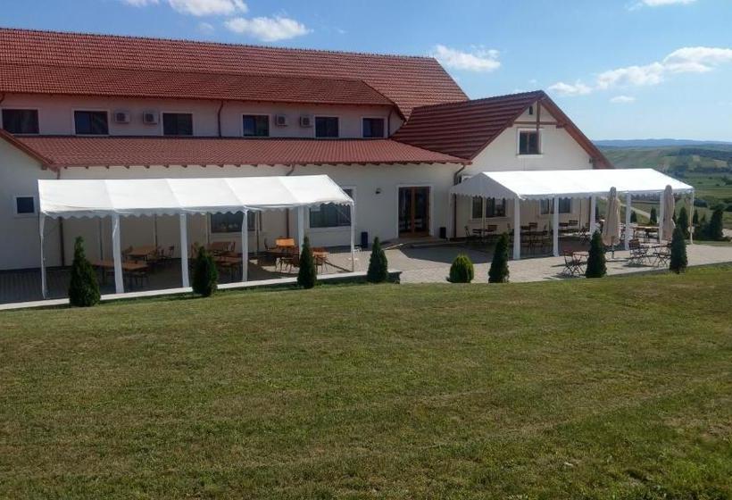 Pensiunea Kemsilvanum Fort Silvan