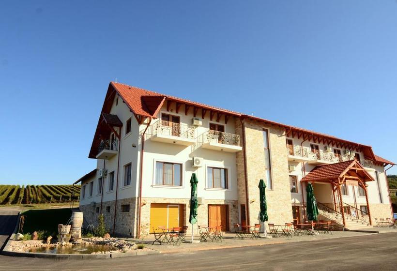 Pensiunea Kemsilvanum Fort Silvan