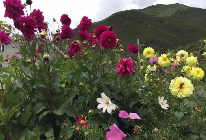 ホテル 7days Inn Garze Kangding Xinduqiao Branch