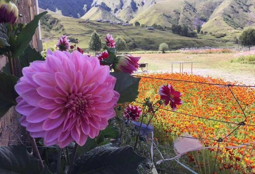 ホテル 7days Inn Garze Kangding Xinduqiao Branch