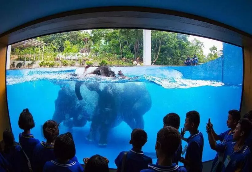 Hotelli Oyo 440 Season 5 Residence