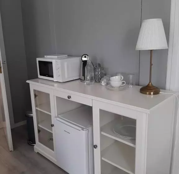 ホテル Saarijärven Ruustinna Oy