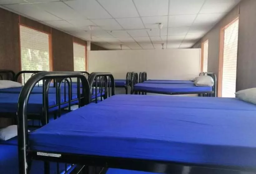 Hotelli Spot On 90014 Otternest Gunung Pulai 2   Hostel