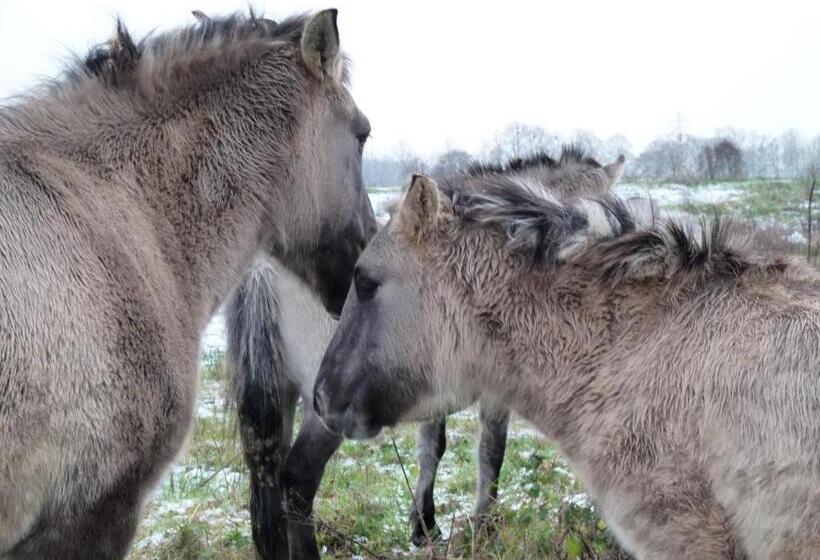 ペンション De Konik