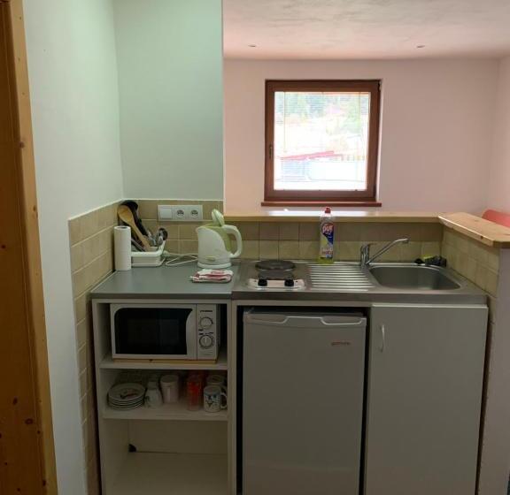 膳宿费 Miroslav Bednár Bedomir