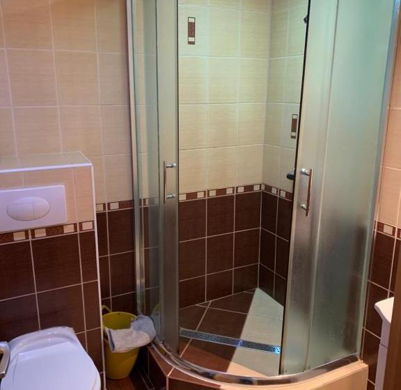 膳宿费 Miroslav Bednár Bedomir