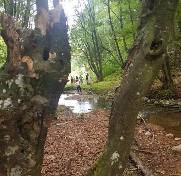 Pensiunea Gernik 100