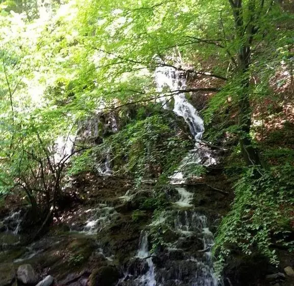 Pensiunea Gernik 100