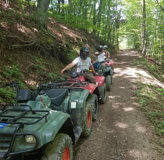 Pensiunea Gernik 100