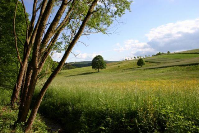 אתר נופש Type Robinson