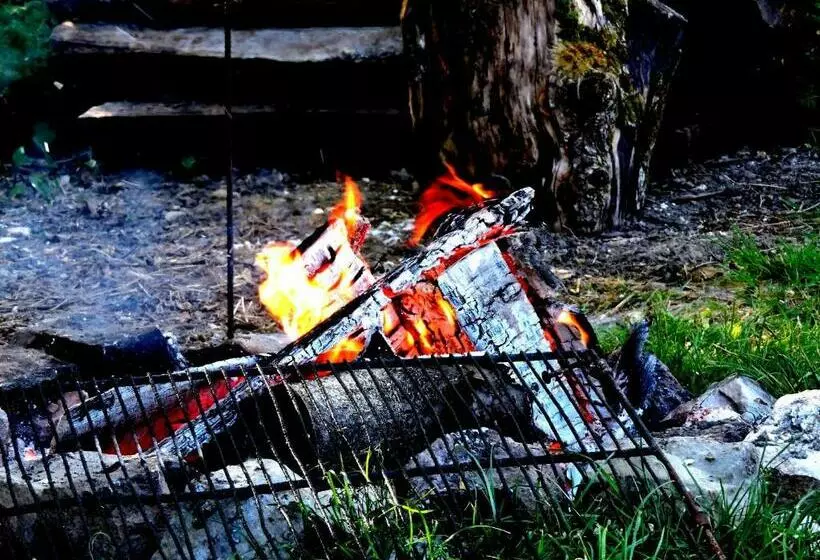 Hotelli La Cabane