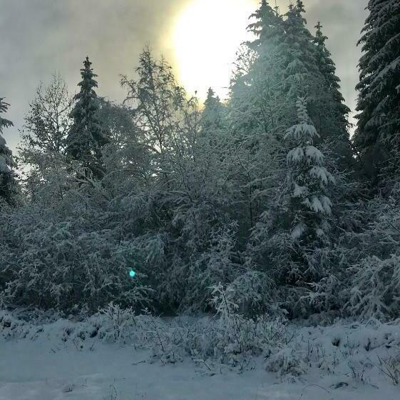 호텔 Pensiunea Agroturistică Drag De Apuseni