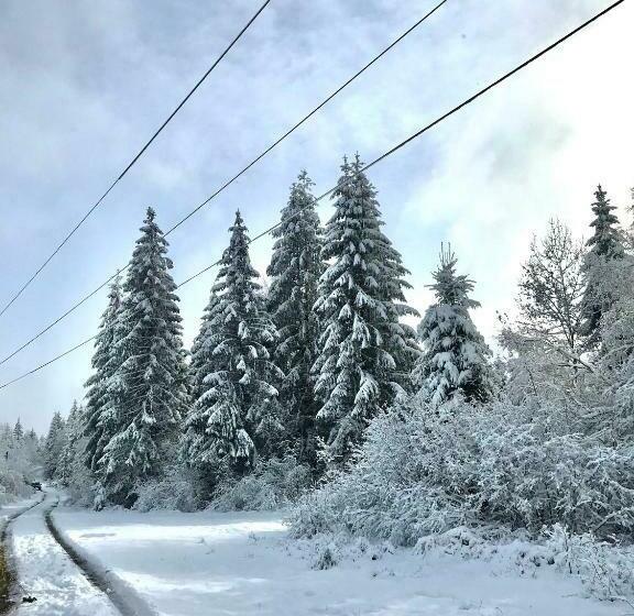 호텔 Pensiunea Agroturistică Drag De Apuseni