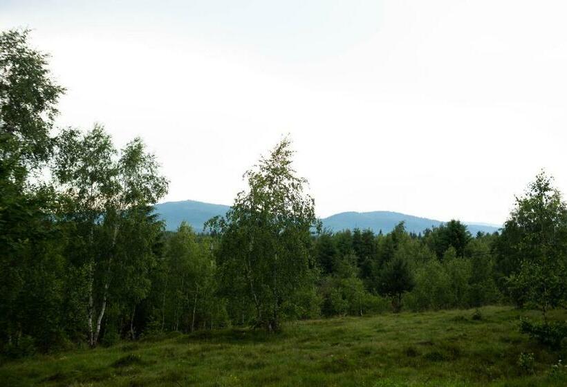 호텔 Pensiunea Agroturistică Drag De Apuseni
