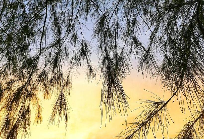 Hotel Sea View Resort