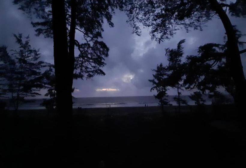 Отель Seawoods Beach