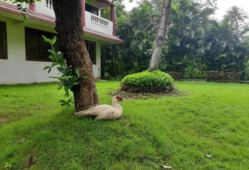 Отель Seawoods Beach