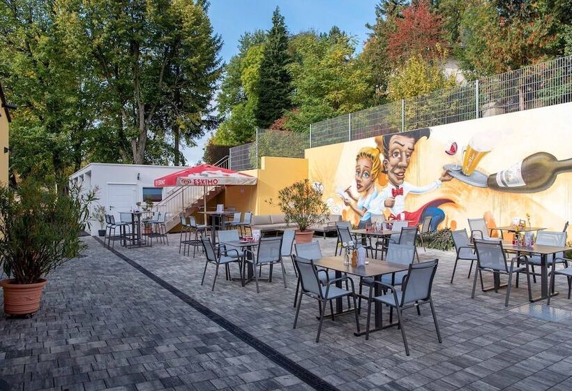 膳宿费 Gasthof Schindler